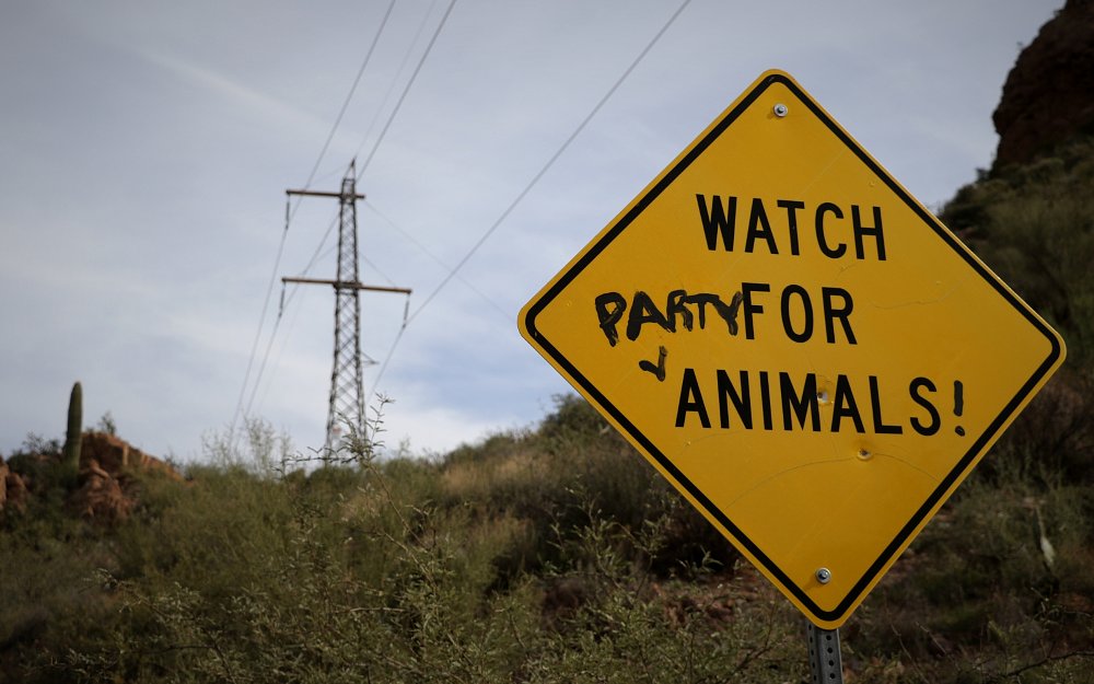 sign