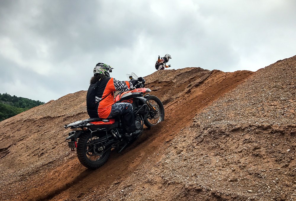 Lem on a hill