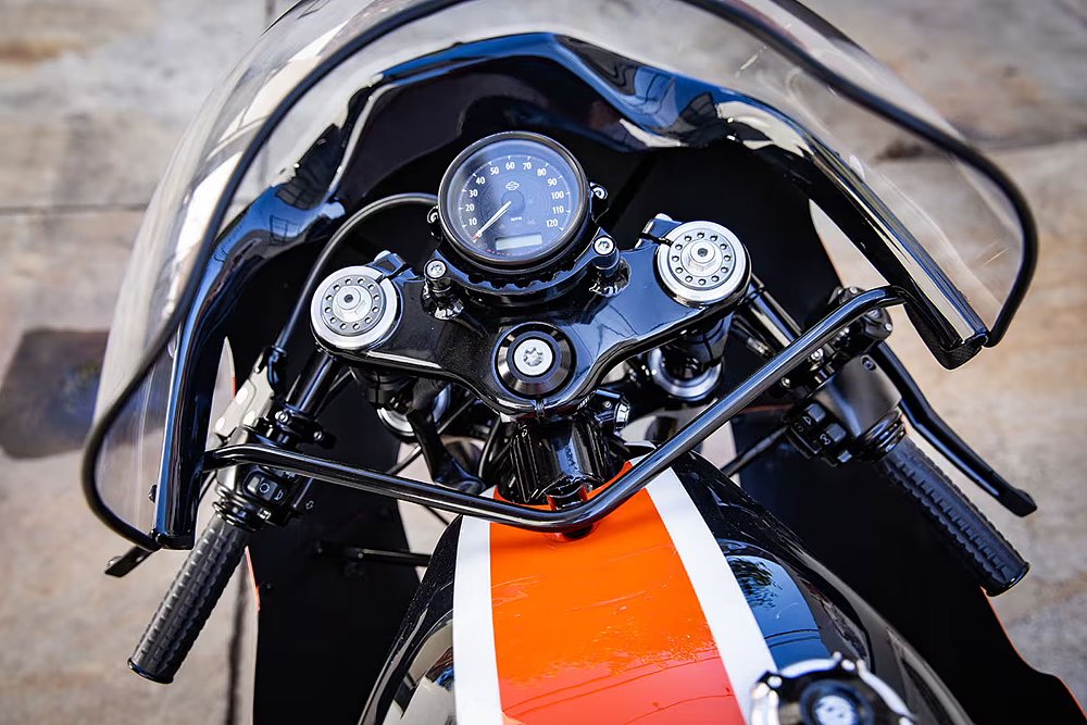 view from the rider's perspective in the cockpit